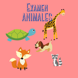 Animales